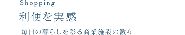 Shopping 利便を実感 毎日の暮らしを彩る商業施設の数々